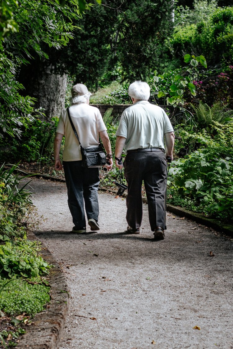 back health seniors walking