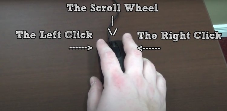 basics of a desktop seniors